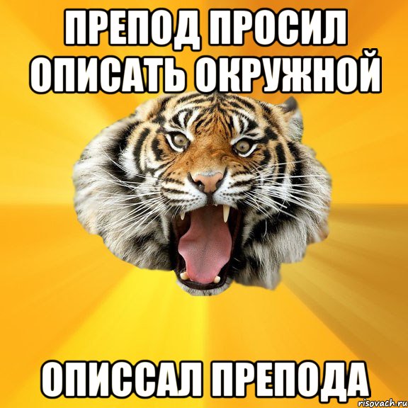 препод просил описать окружной описсал препода, Мем СУМАСШЕДШИЙ ТИГР