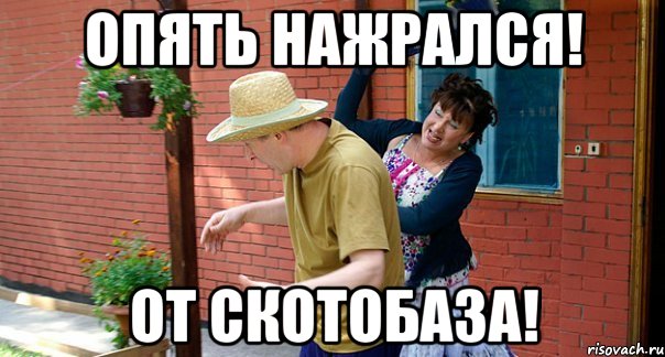 Опять нажрался! От скотобаза!
