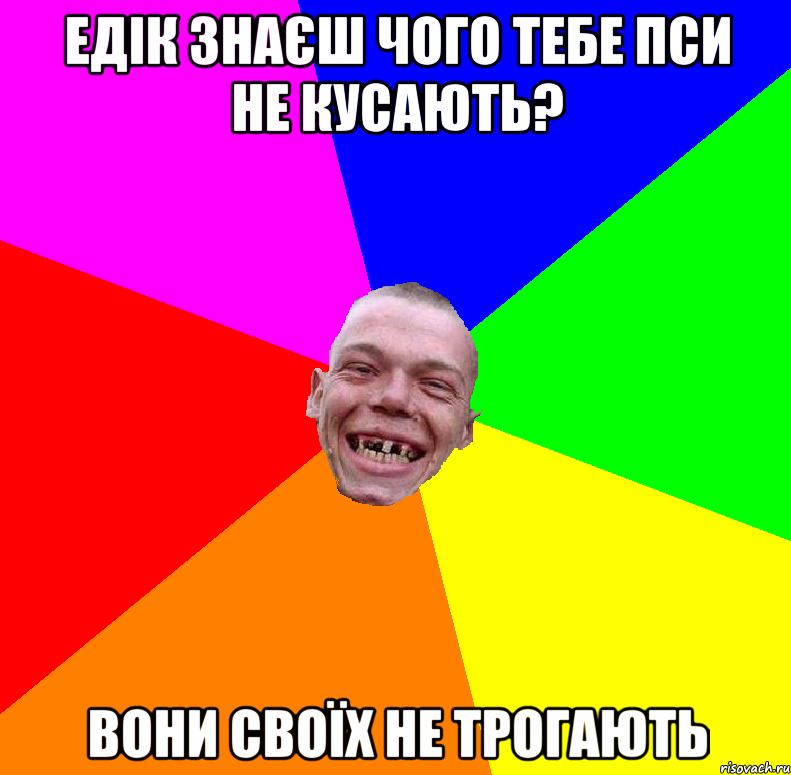 едік знаєш чого тебе пси не кусають? вони своїх не трогають
