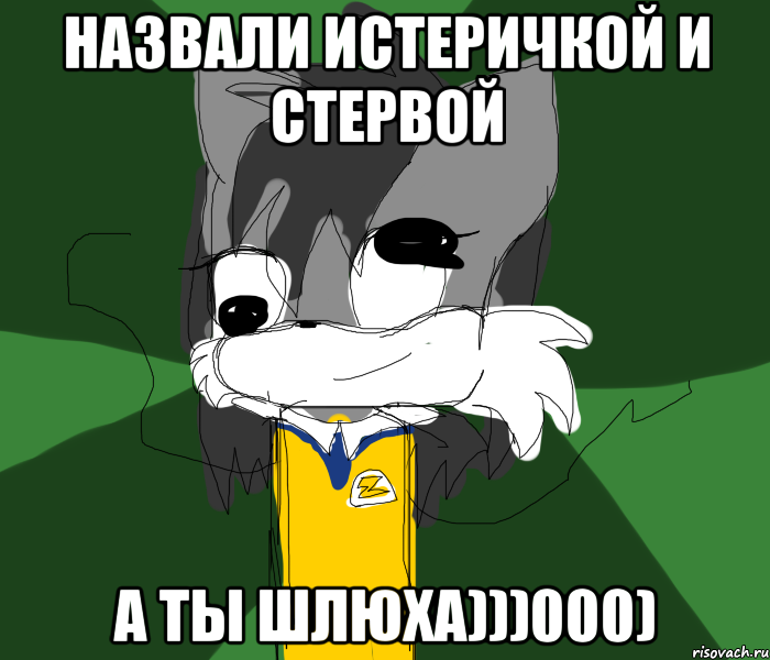 НАЗВАЛИ ИСТЕРИЧКОЙ И СТЕРВОЙ А ТЫ ШЛЮХА)))000)