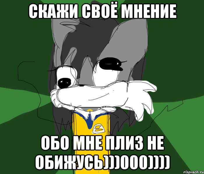СКАЖИ СВОЁ МНЕНИЕ ОБО МНЕ ПЛИЗ НЕ ОБИЖУСЬ)))000))))