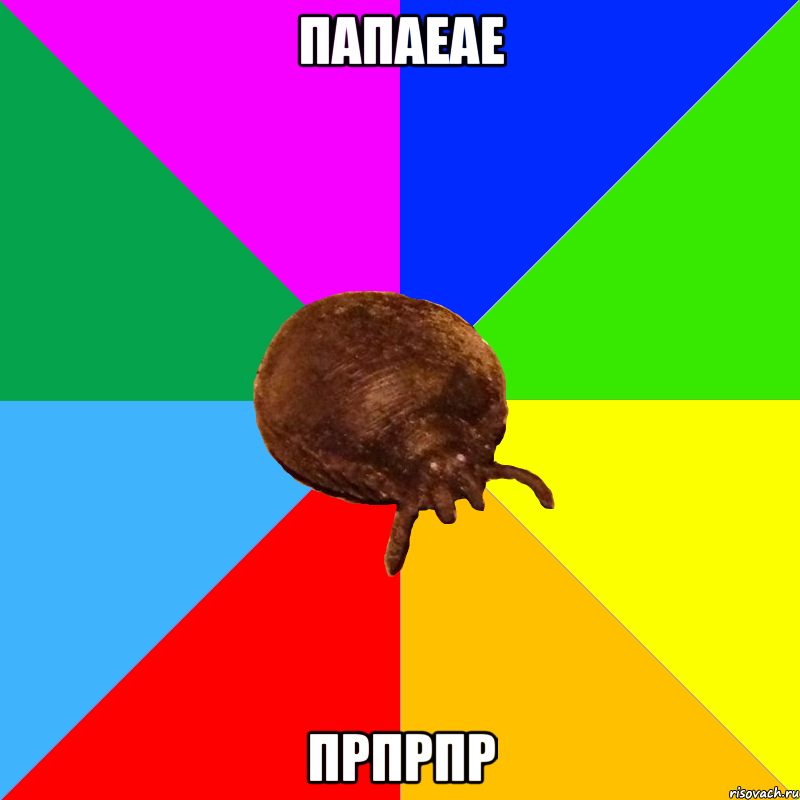 папаеае прпрпр
