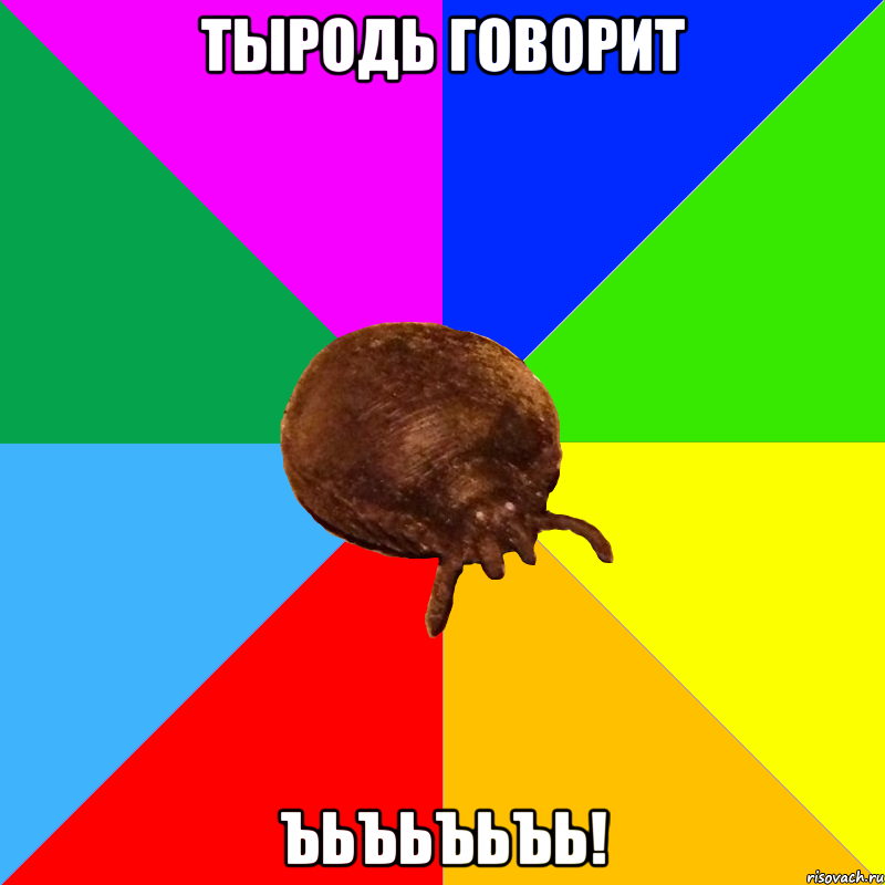 Тыродь говорит ЪЬЪЬЪЬЪЬ!, Мем Типичная ТЫРОДЬ