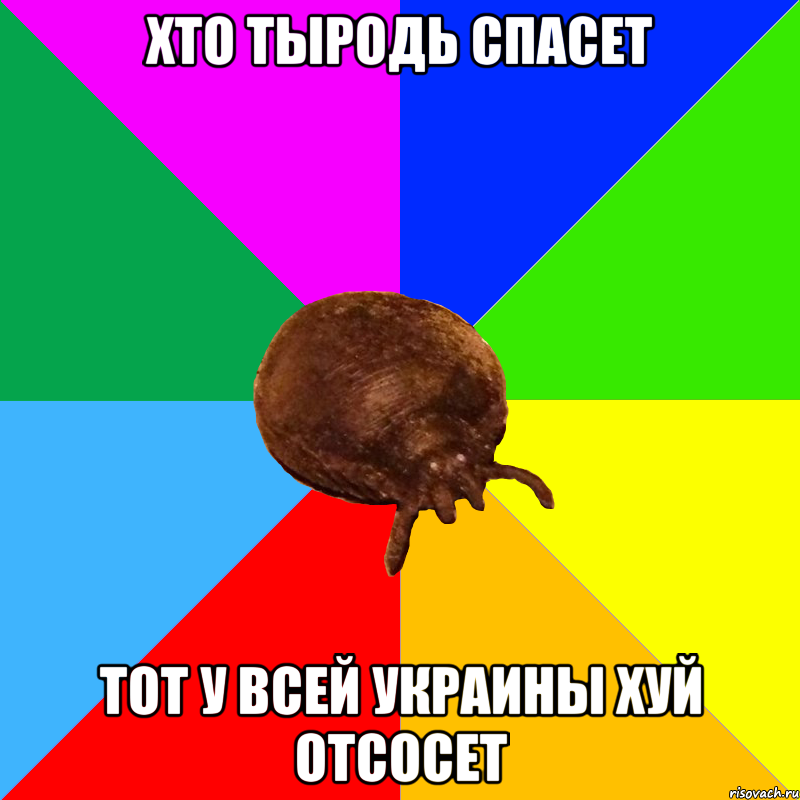 ХТО ТЫРОДЬ СПАСЕТ ТОТ У ВСЕЙ УКРАИНЫ ХУЙ ОТСОСЕТ