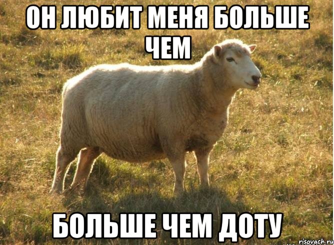 ОН ЛЮБИТ МЕНЯ БОЛЬШЕ ЧЕМ БОЛЬШЕ ЧЕМ ДОТУ, Мем Типичная овца