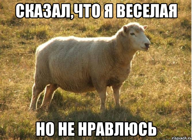 Сказал,что я веселая Но не нравлюсь