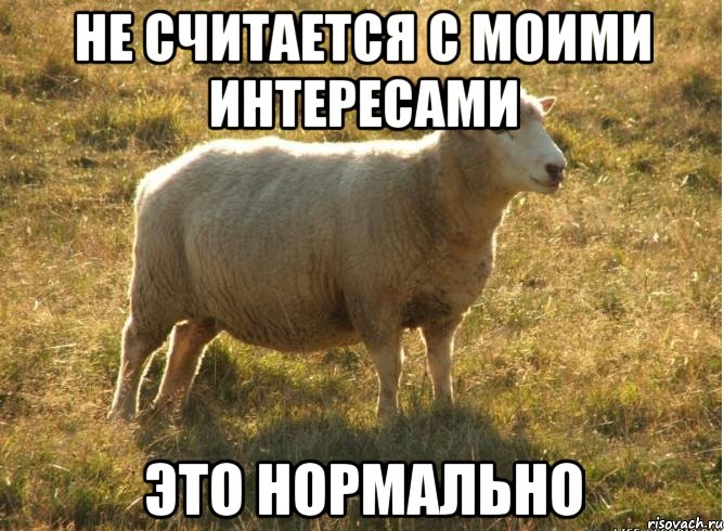 Не считается с моими интересами Это нормально