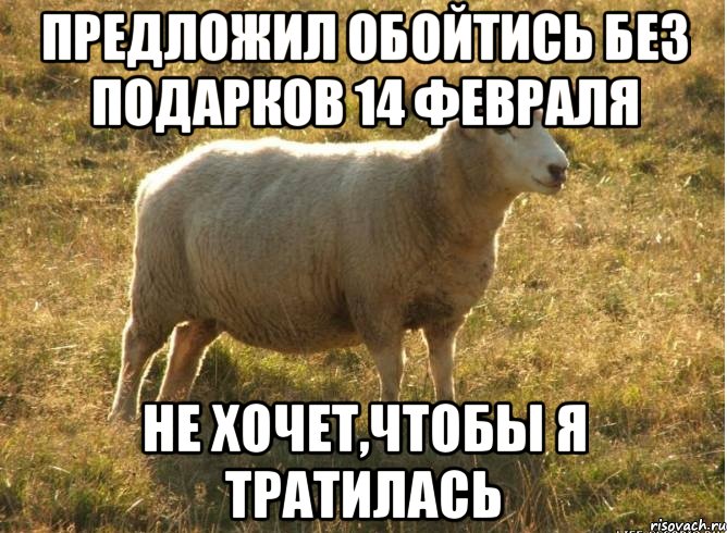 Предложил обойтись без подарков 14 февраля Не хочет,чтобы я тратилась