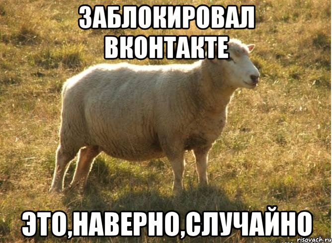 Заблокировал вконтакте Это,наверно,случайно, Мем Типичная овца
