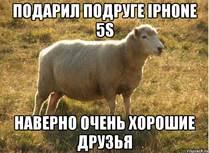 подарил подруге iphone 5s наверно очень хорошие друзья, Мем Типичная овца