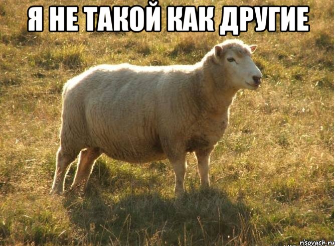 Я не такой как другие 