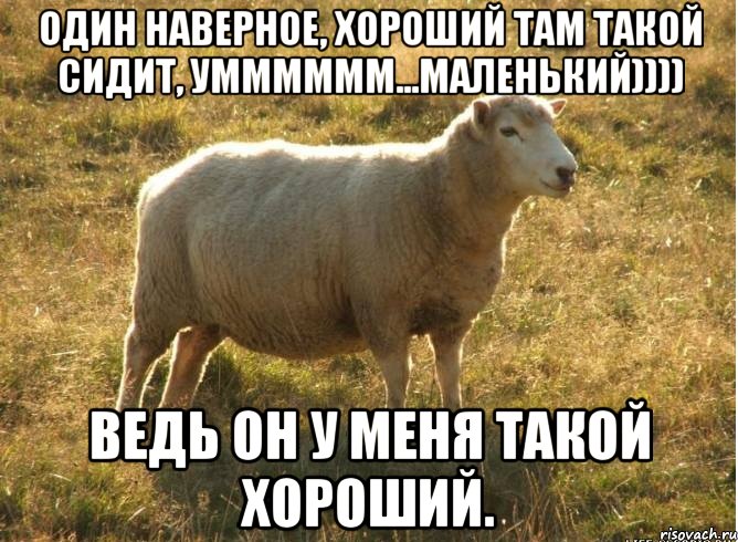 Один наверное, хороший там такой сидит, умммммм...маленький)))) Ведь он у меня такой хороший., Мем Типичная овца