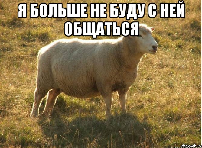 Я больше не буду с ней общаться , Мем Типичная овца