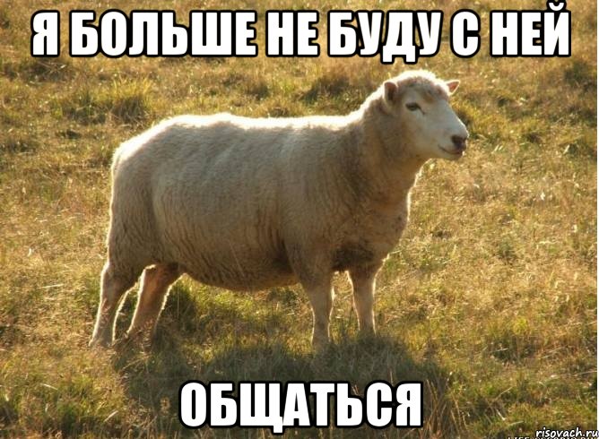 Я больше не буду с ней ОБЩАТЬСЯ, Мем Типичная овца