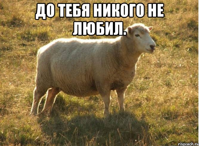 До тебя никого не любил. 