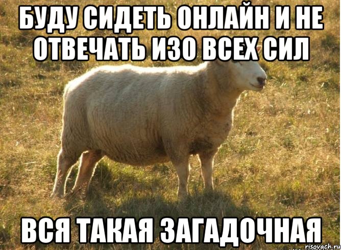 буду сидеть онлайн и не отвечать изо всех сил вся такая загадочная, Мем Типичная овца