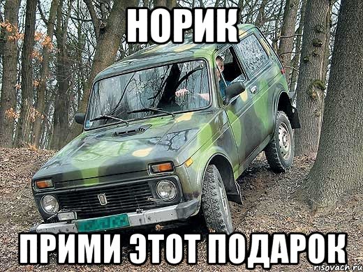 норик прими этот подарок