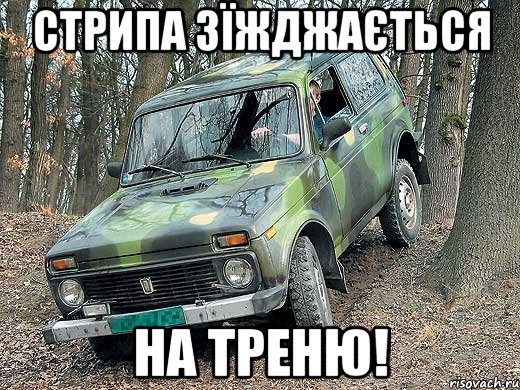 Стрипа зїжджається на треню!