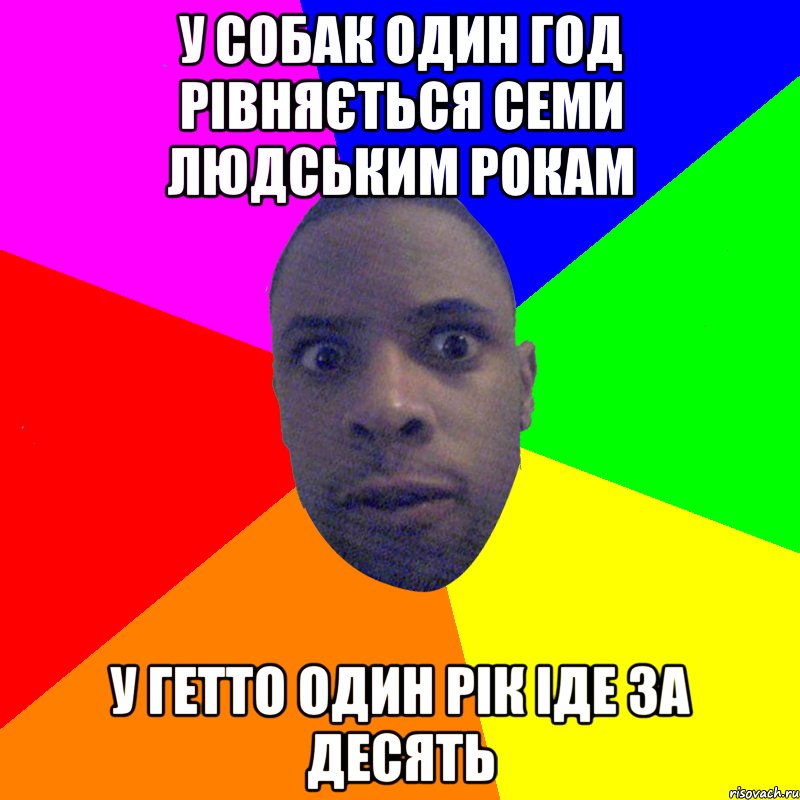 у собак один год рівняється семи людським рокам у гетто один рік іде за десять, Мем  Типичный Негр