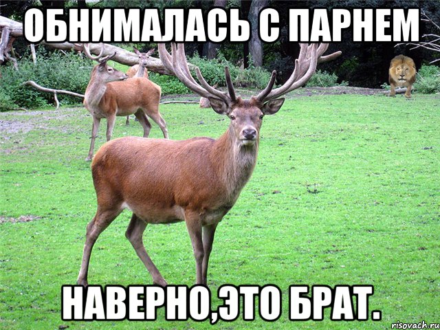 Обнималась с парнем Наверно,это брат.