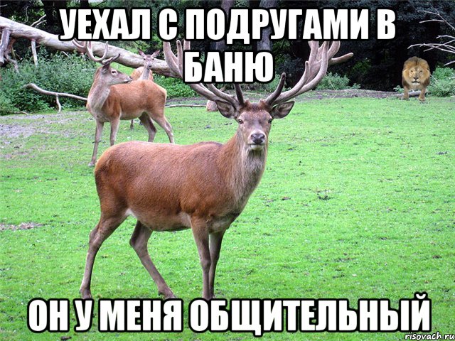 Уехал с подругами в баню Он у меня общительный
