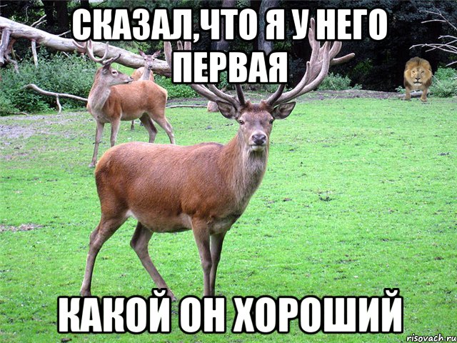 Сказал,что я у него первая Какой он хороший
