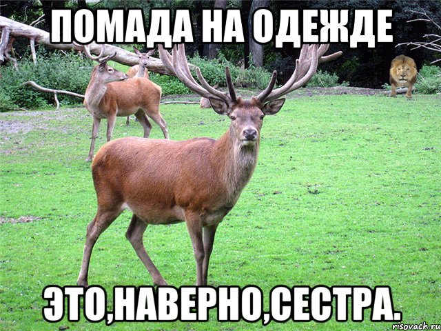 Помада на одежде Это,наверно,сестра.