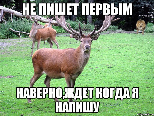 Не пишет первым Наверно,ждет когда я напишу