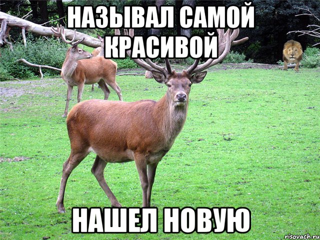 Называл самой красивой Нашел новую