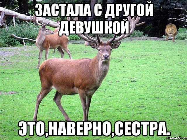Застала с другой девушкой Это,наверно,сестра.
