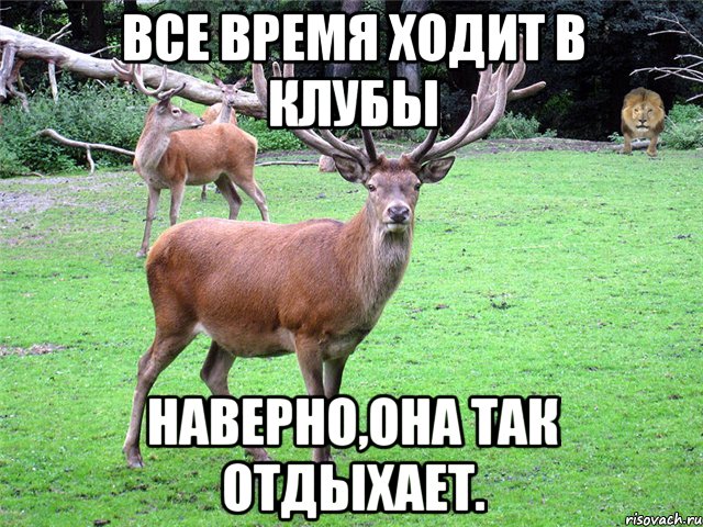 Все время ходит в клубы Наверно,она так отдыхает.