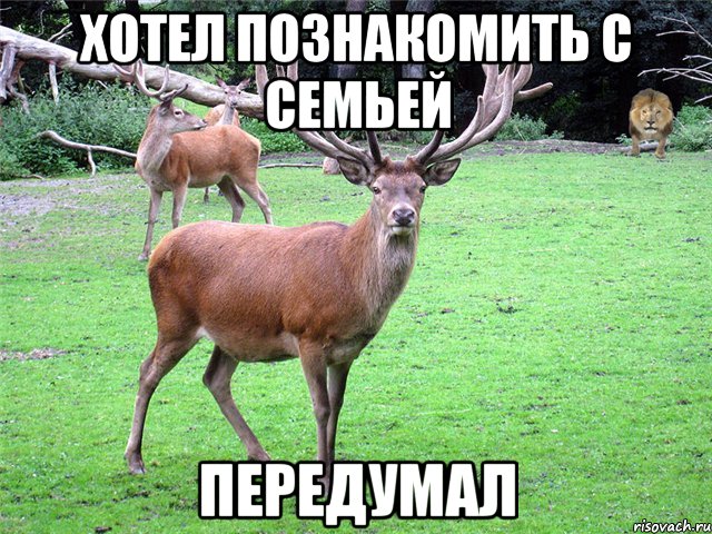 Хотел познакомить с семьей Передумал