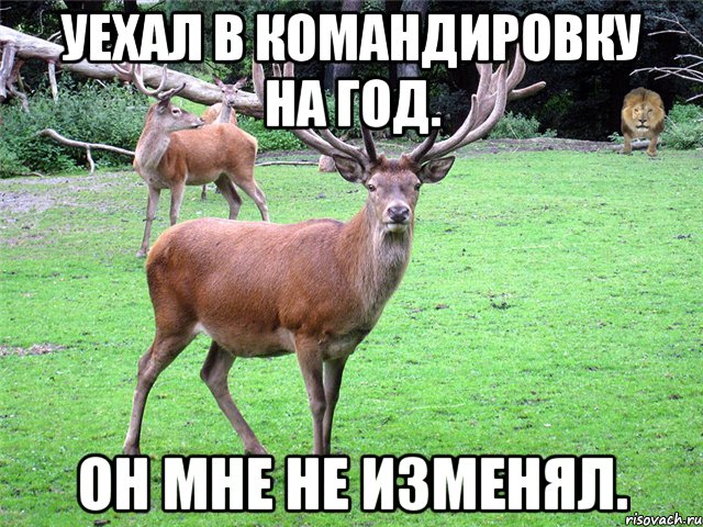 Уехал в командировку на год. Он мне не изменял.