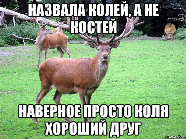 Назвала Колей, а не Костей наверное просто Коля хороший друг
