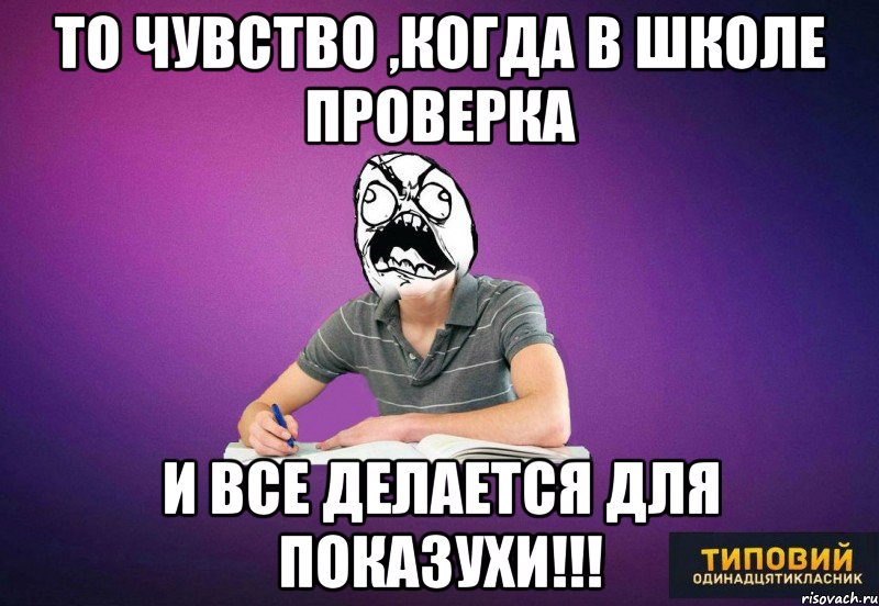 то чувство ,когда в школе проверка и все делается для показухи!!!