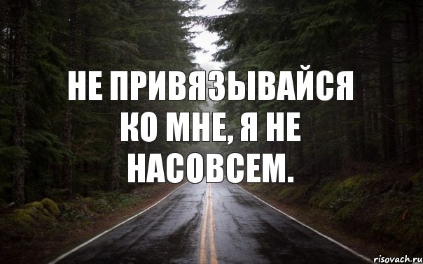 Не привязывайся ко мне, я не насовсем., Комикс Тлен