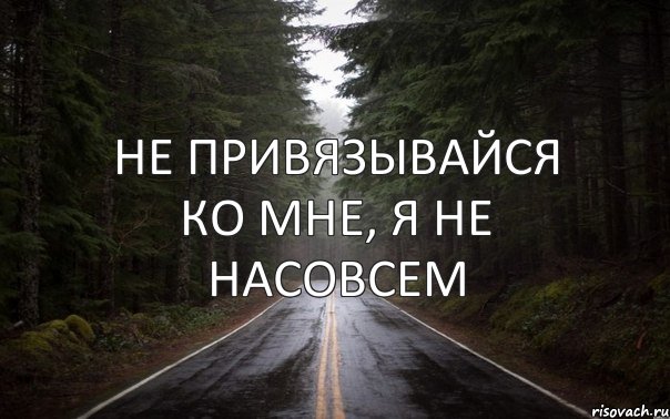 не привязывайся ко мне, я не насовсем, Комикс Тлен
