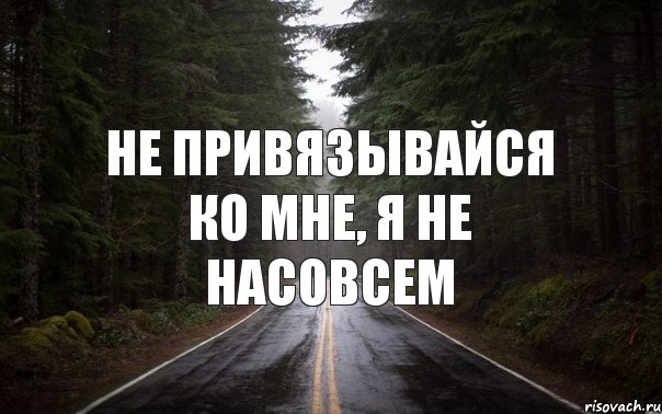 не привязывайся ко мне, я не насовсем, Комикс Тлен
