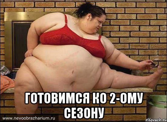  готовимся ко 2-ому сезону