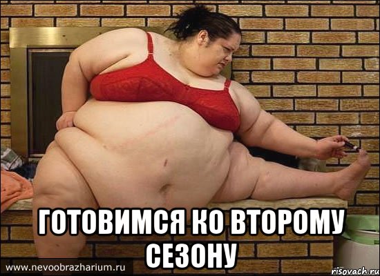  готовимся ко второму сезону