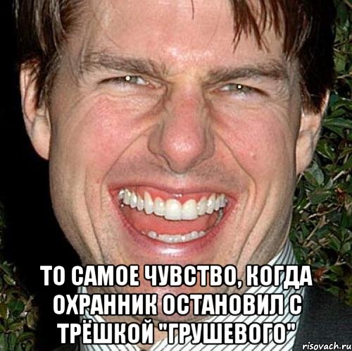  то самое чувство, когда охранник остановил с трёшкой "грушевого", Мем Том Круз