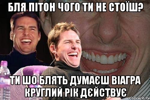 бля пітон чого ти не стоїш? ти шо блять думаєш віагра круглий рік дєйствує, Мем том круз