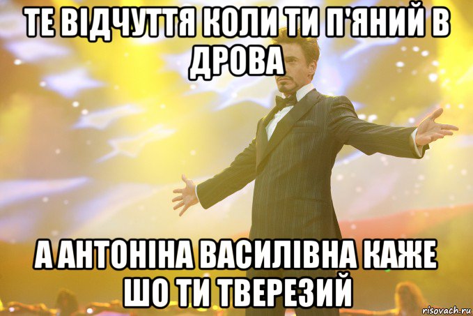 Те відчуття коли ти п'яний в дрова А антоніна василівна каже шо ти тверезий, Мем Тони Старк (Роберт Дауни младший)