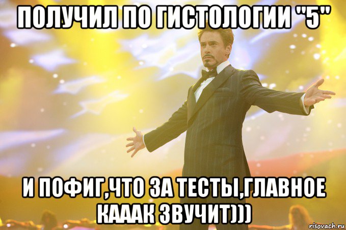 ПОЛУЧИЛ ПО ГИСТОЛОГИИ "5" И ПОФИГ,ЧТО ЗА ТЕСТЫ,ГЛАВНОЕ КАААК ЗВУЧИТ))), Мем Тони Старк (Роберт Дауни младший)