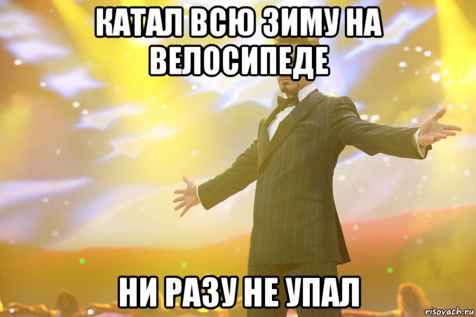 катал всю зиму на велосипеде ни разу не упал, Мем Тони Старк (Роберт Дауни младший)