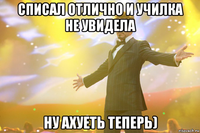 Списал отлично и училка не увидела ну ахуеть теперь), Мем Тони Старк (Роберт Дауни младший)