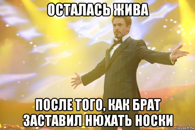 осталась жива после того, как брат заставил нюхать носки, Мем Тони Старк (Роберт Дауни младший)