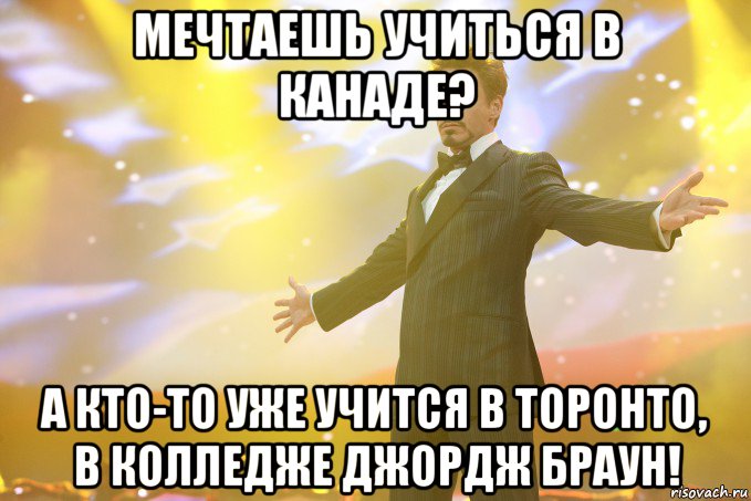 Мечтаешь учиться в Канаде? А кто-то уже учится в Торонто, в Колледже Джордж Браун!, Мем Тони Старк (Роберт Дауни младший)