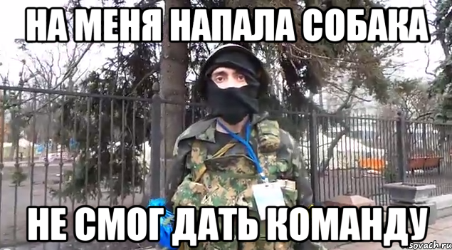 на меня напала собака не смог дать команду