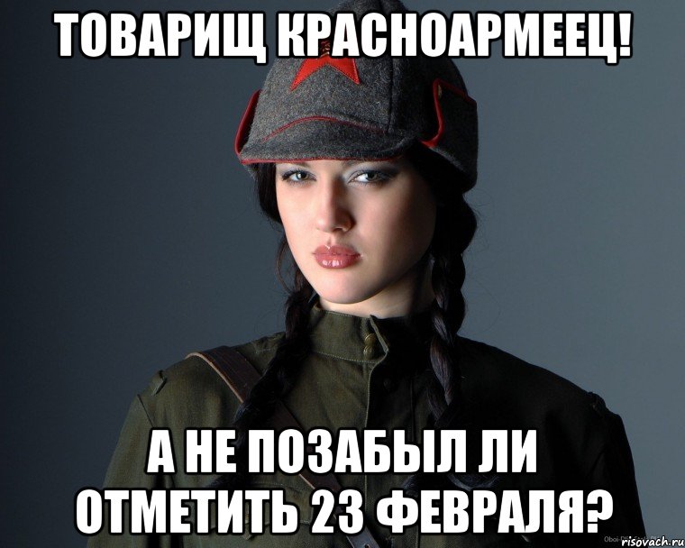 товарищ красноармеец! а не позабыл ли отметить 23 февраля?